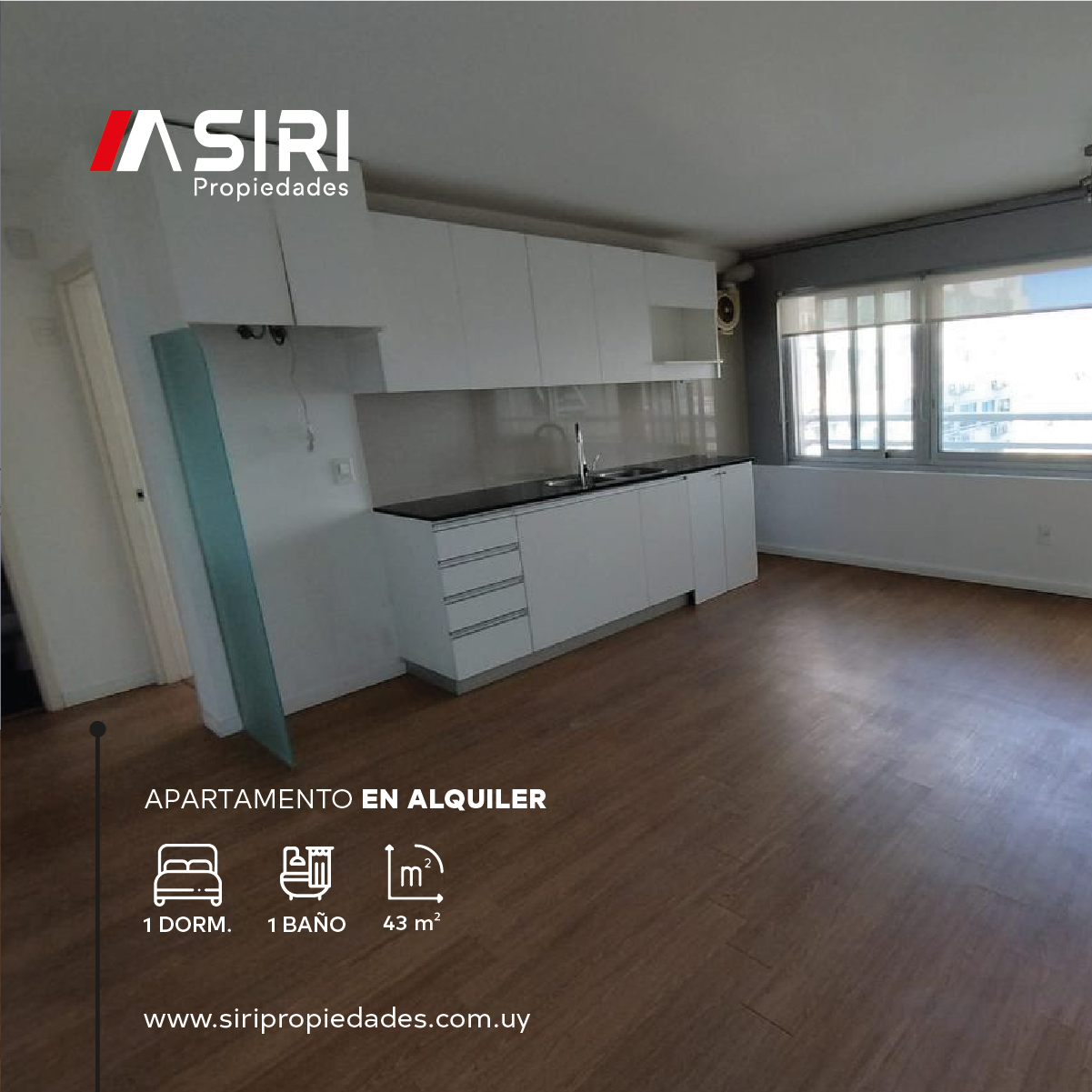 Carrusel Siri Propiedades, placa 4